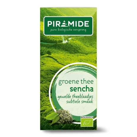 Groene thee sencha, 20x1kop, Piramide