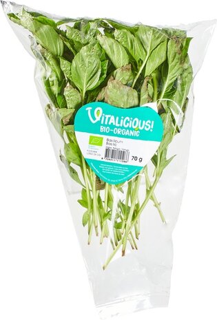 Basilicum, verse-, 70gr, Especia