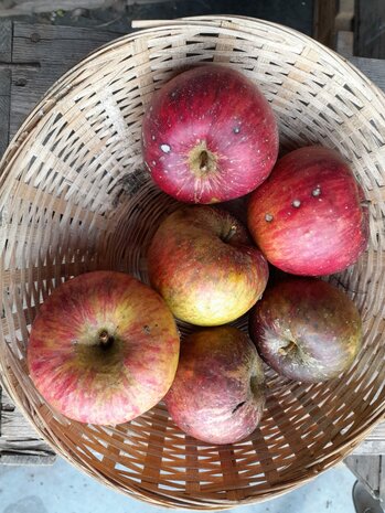 Appels, hand-, Topaz-, 600gr, PuurNL