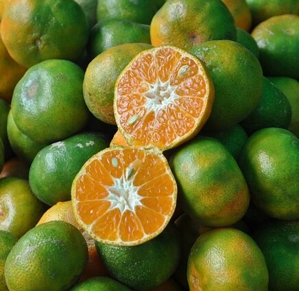 Clementine mandarijnen, 500gr, Udea