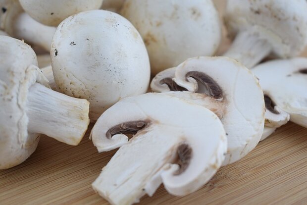 Champignons, witte-, 250gr, Udea