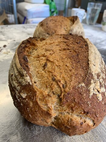 Landbrood, desem, 600gr, Bosakker Brood, niet biologisch gecertificeerd