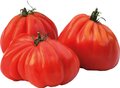 Tomaten, vlees-, 500gr, Udea