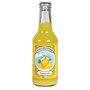 Orangeade frisdrank, 250ml, Naturfrisk