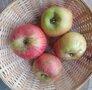 Appels, hand-, Valk-, per kg, Hekkert Hoogstamfruit